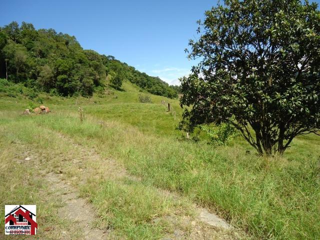 Fazenda-Sítio-Chácara, 21 hectares - Foto 3