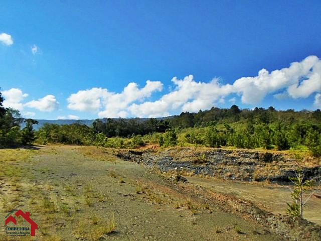 Terreno, 3 hectares - Foto 1